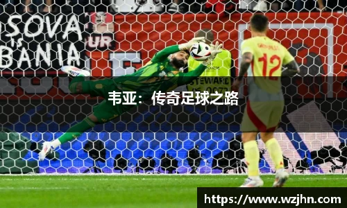 韦亚：传奇足球之路